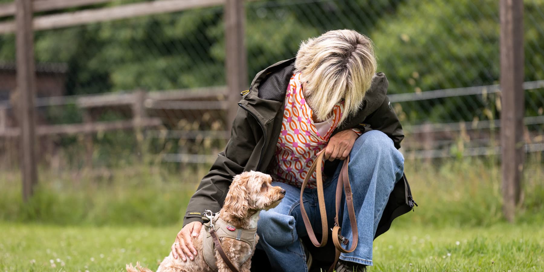 Trainerin arbeitet im Einzeltraining mit einem kleinen Hund