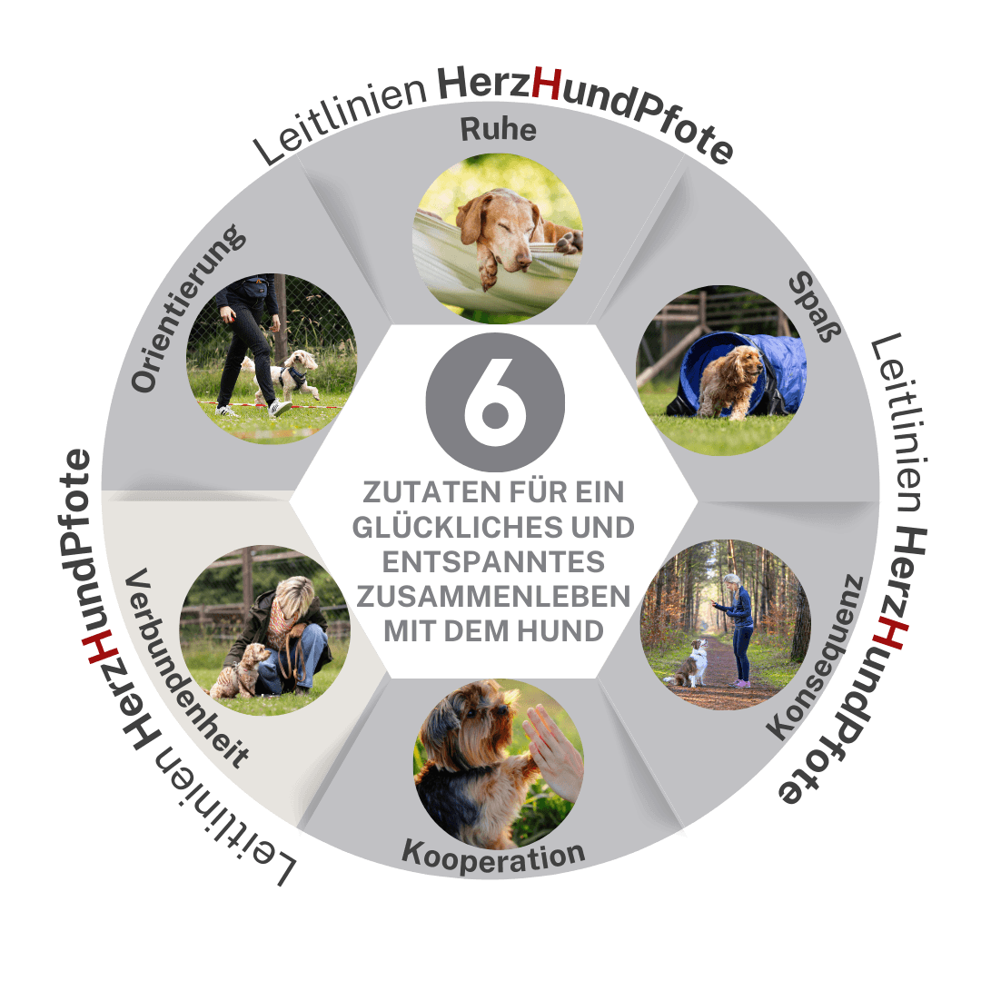 Hundeplatz Sankt Michaelisdonn